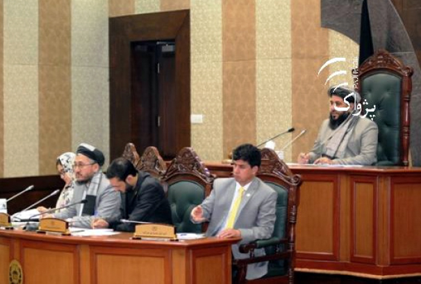 مشرانو جرگه: روسیه می خواهد که افغانستان را به میدان جنگ مبدل سازد